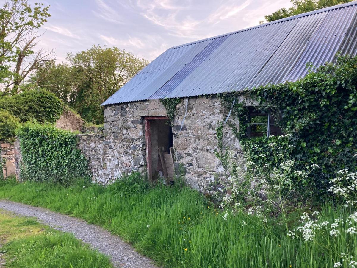 Villa Hillhead Country Retreat Castlewellan Exterior foto